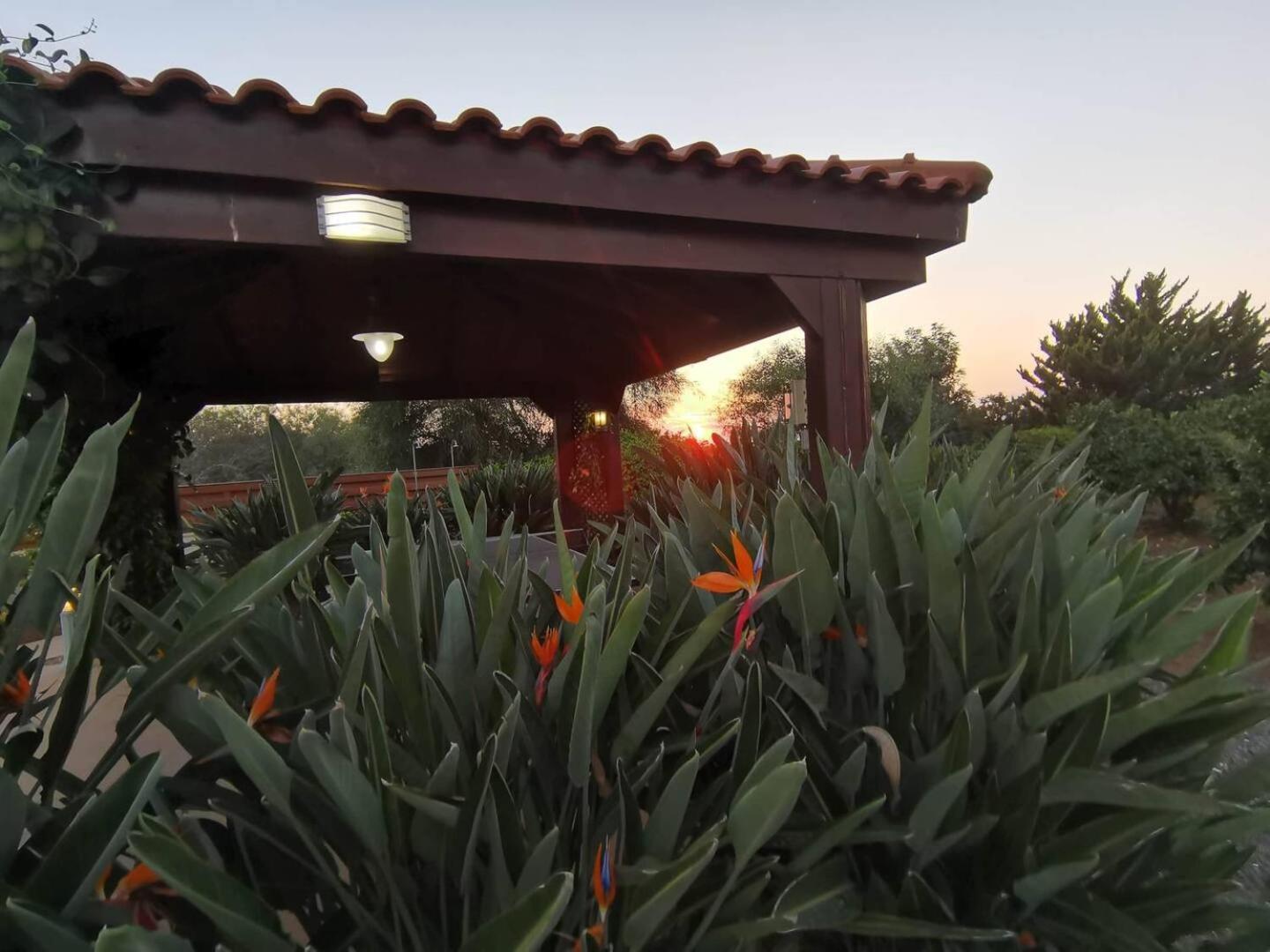 Orchard Blossom Private Villa With Pool Phrenaros Экстерьер фото