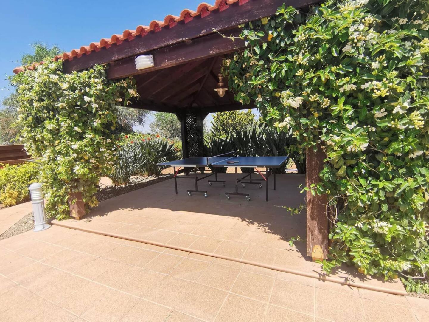 Orchard Blossom Private Villa With Pool Phrenaros Экстерьер фото